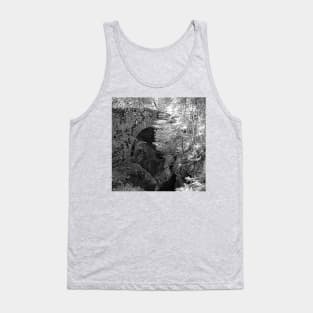 Picturesque Stone Bridge over Rocks Forest Creek, Alps Tank Top